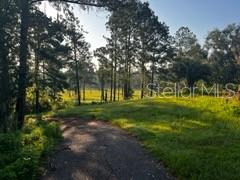 423 Sw Alderene Park Way Property Photo 17