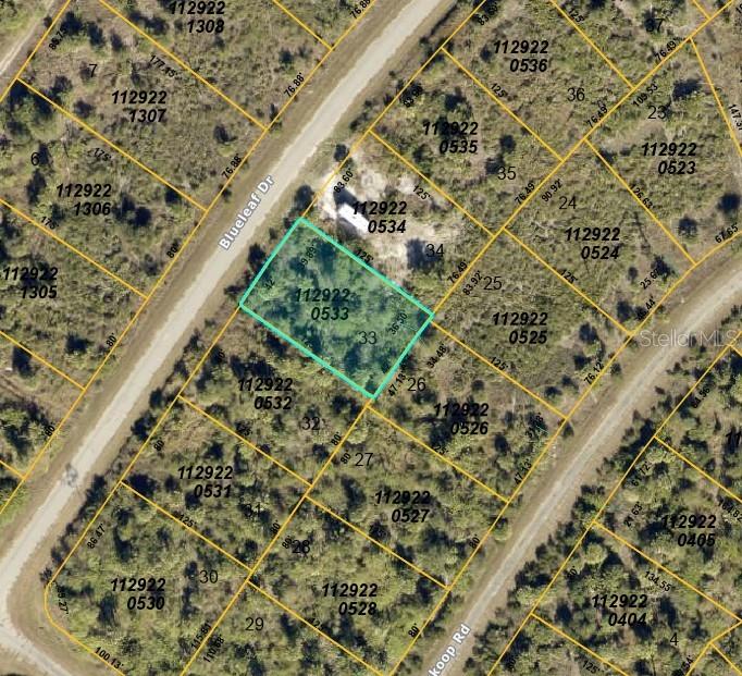 Blueleaf Dr Property Photo 4