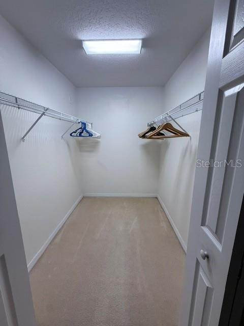 3225 Hart Way Property Photo 16