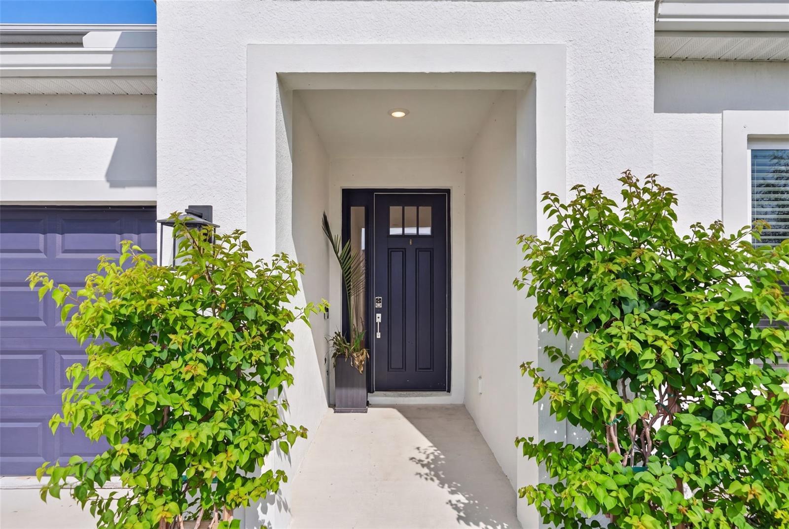 16552 Star Grass Cir Property Photo 12