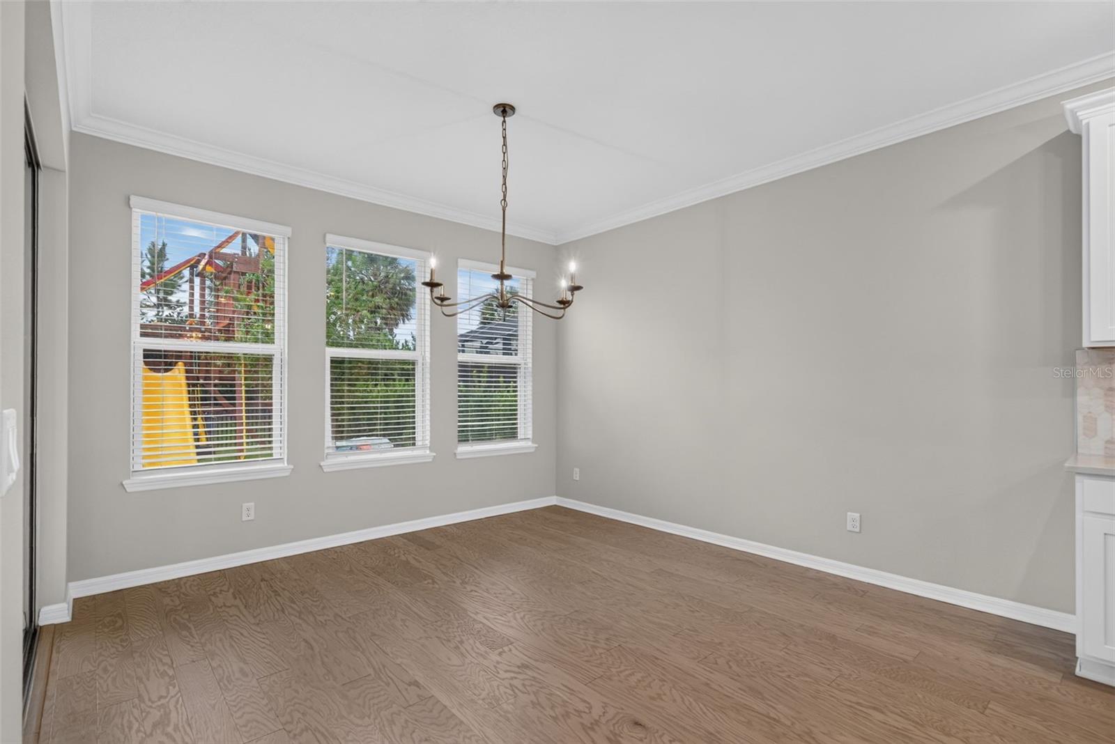 16552 Star Grass Cir Property Photo 44