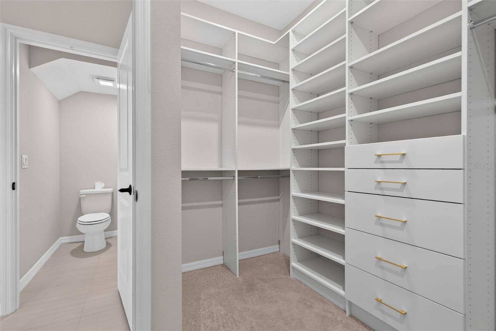 16552 Star Grass Cir Property Photo 66