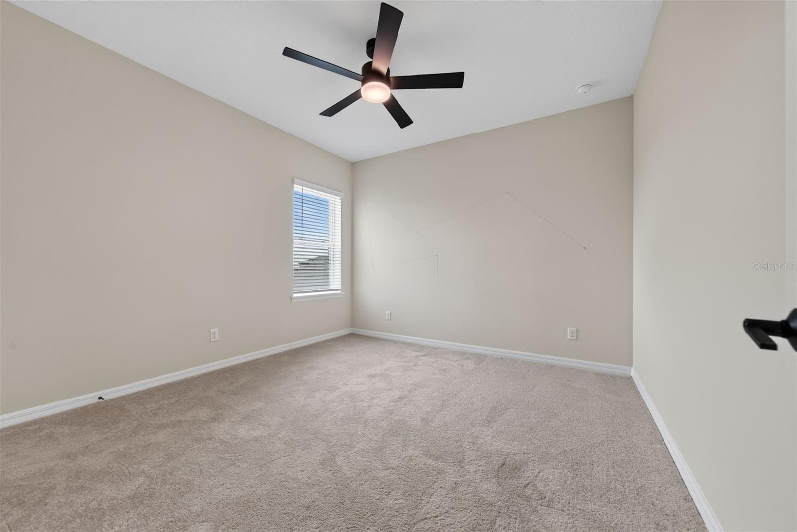 16552 Star Grass Cir Property Photo 71