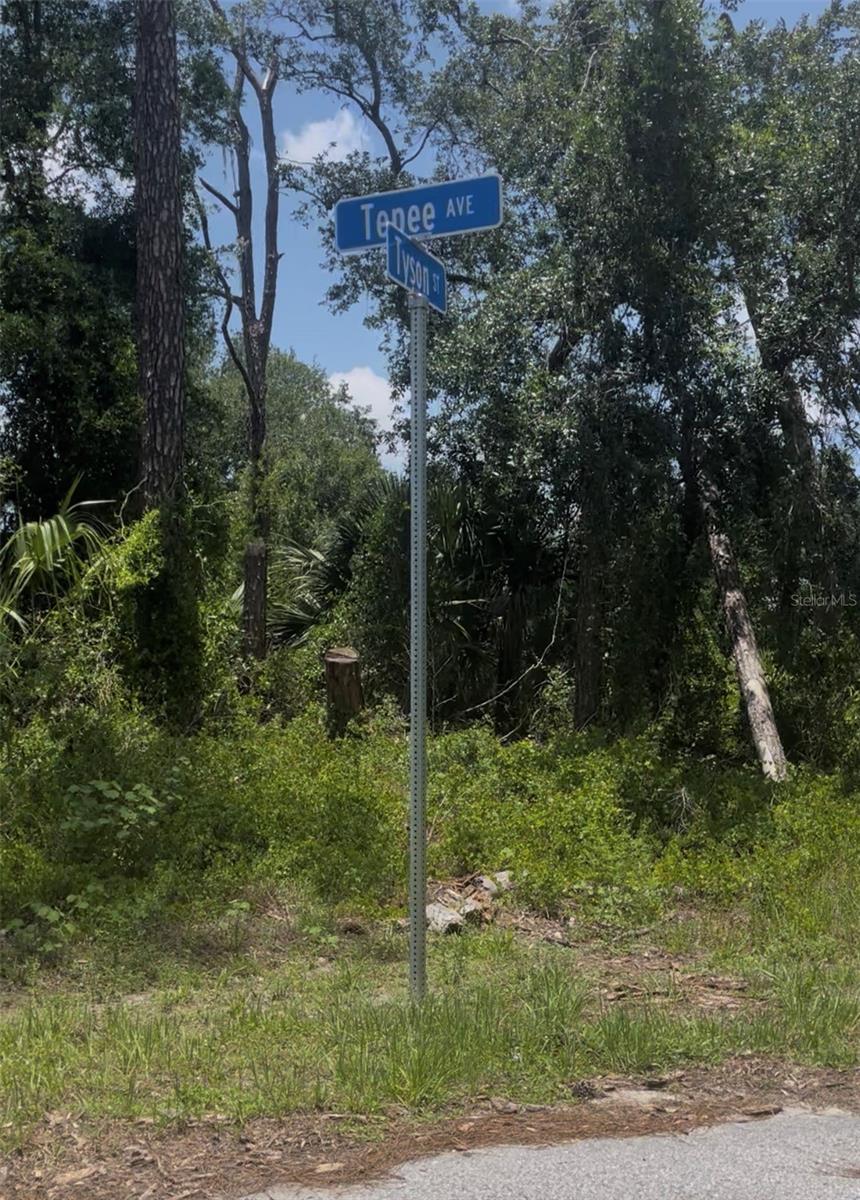 Tepee Ave Property Photo 3
