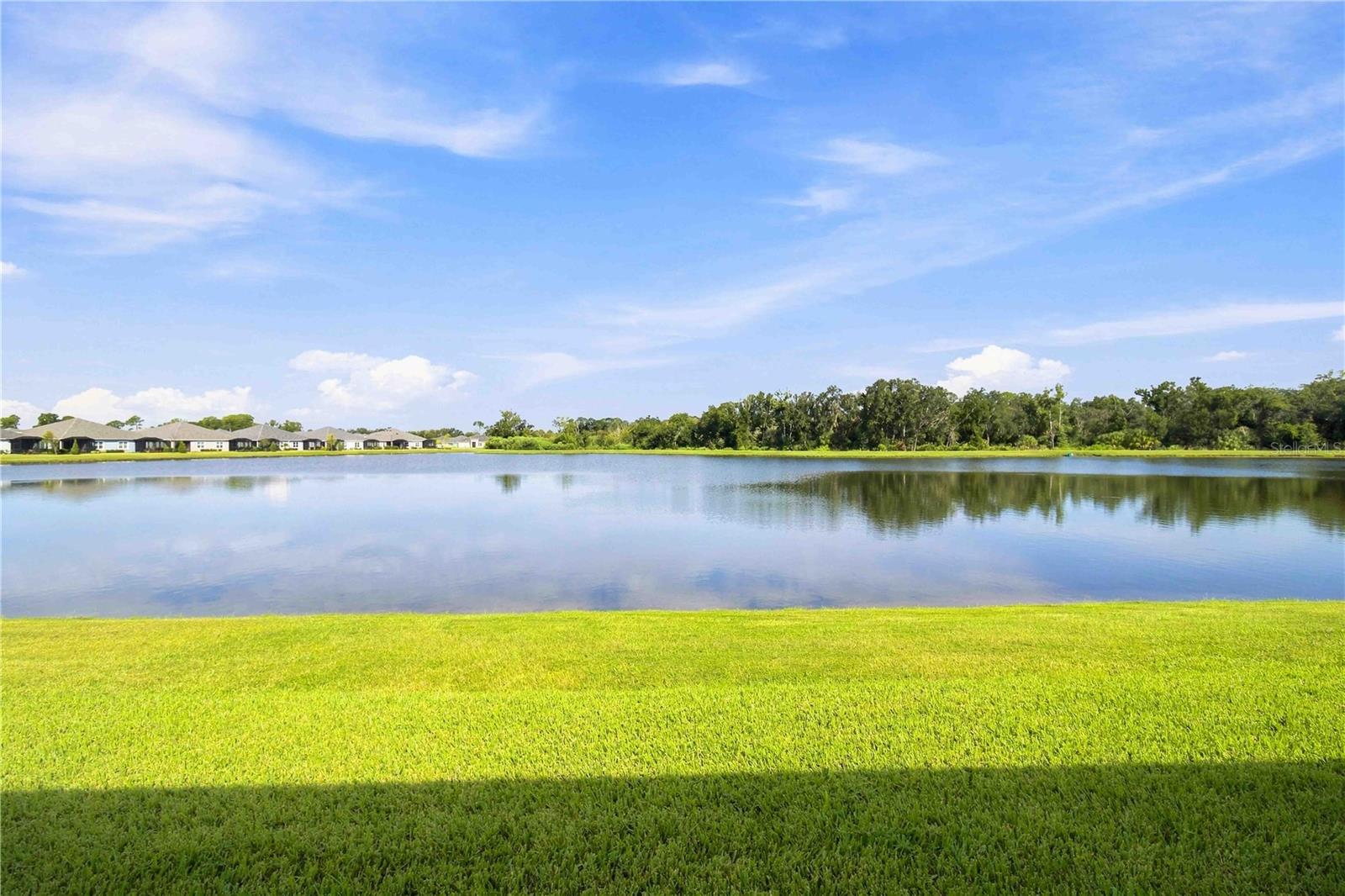 10037 Hammock Brook Dr Property Photo 25