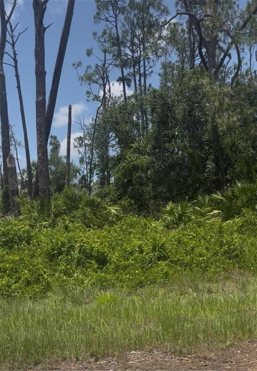 Tepee Ave Property Photo 1
