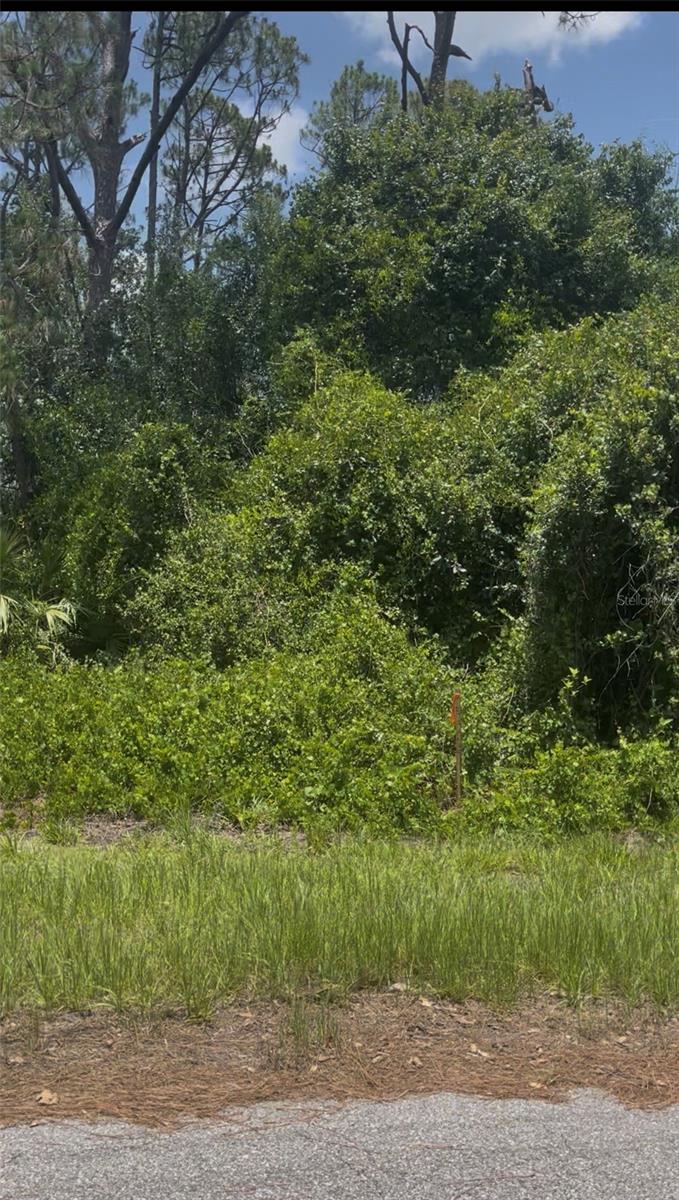 Tepee Ave Property Photo 2