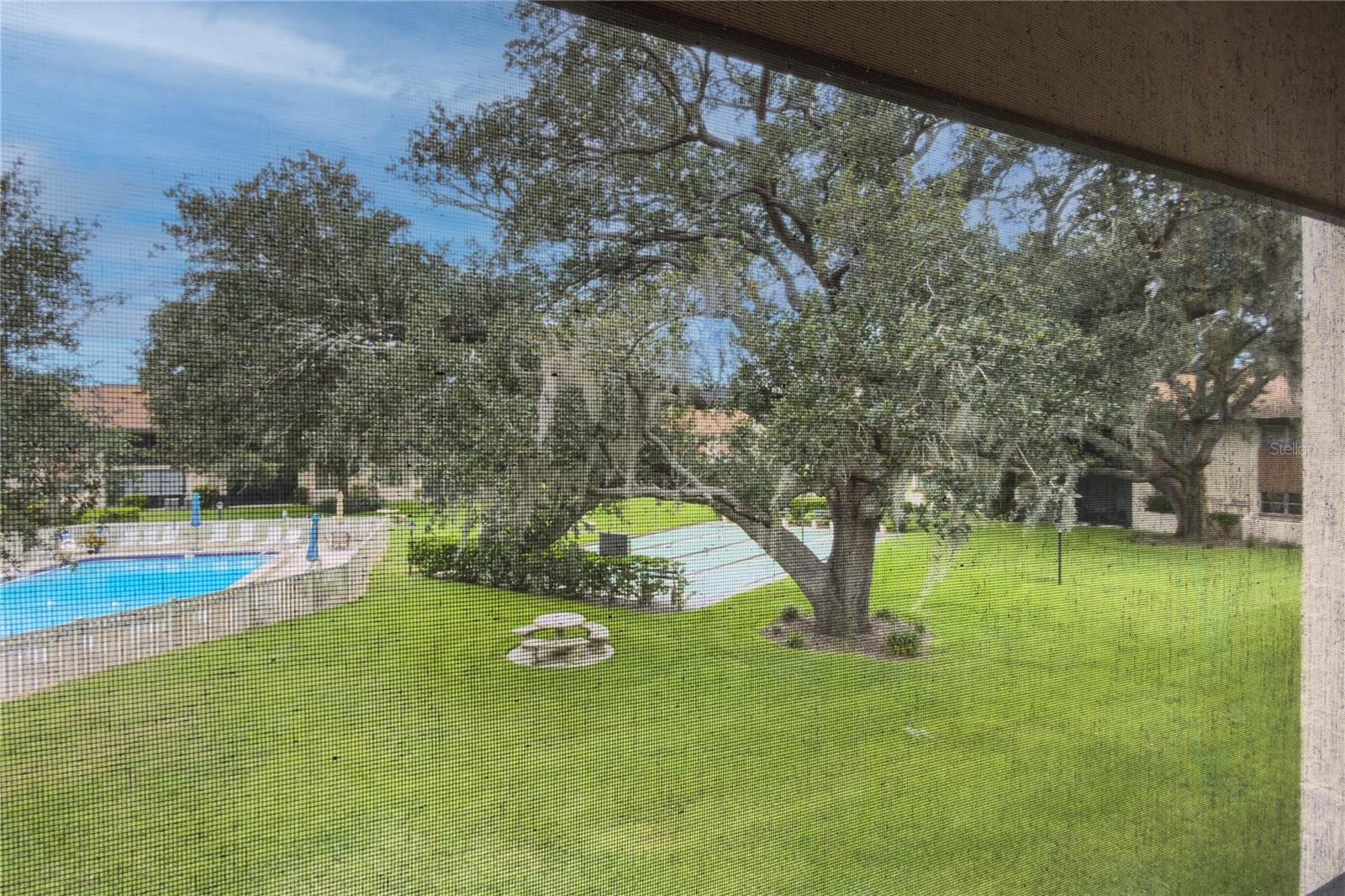 2448 CLUBHOUSE DR #202