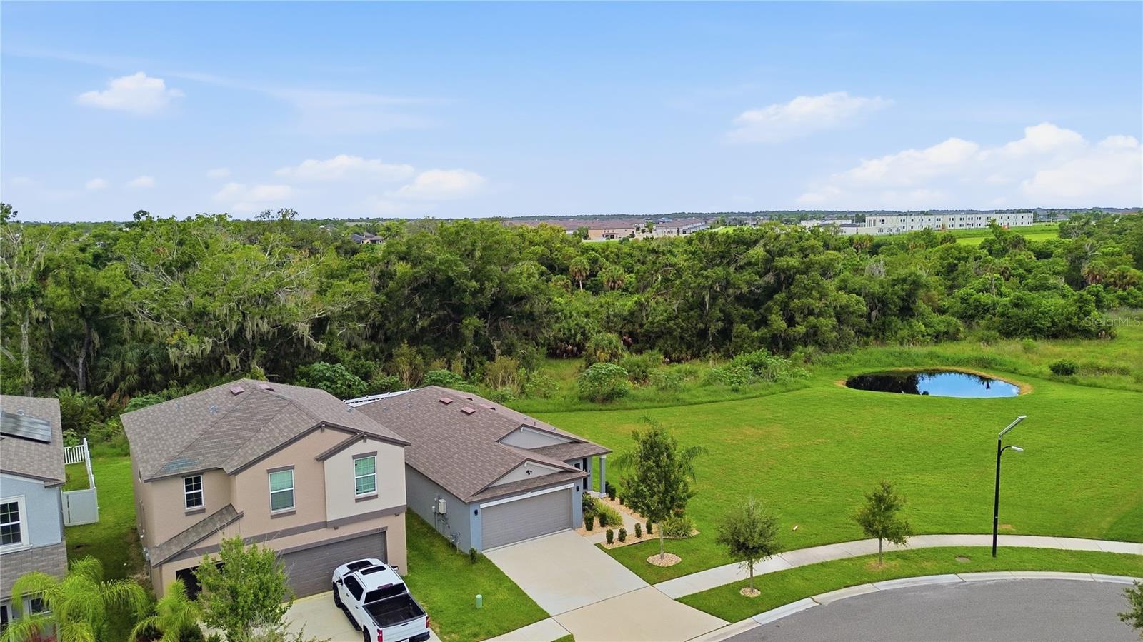 10331 Blue Plume Ct Property Photo 45