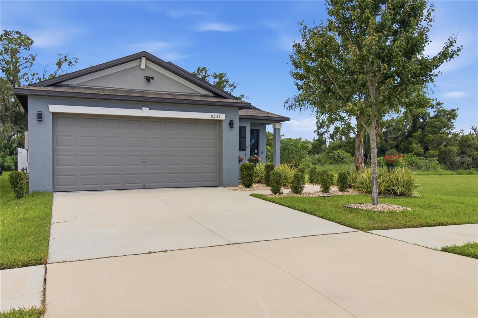 10331 Blue Plume Ct Property Photo 55