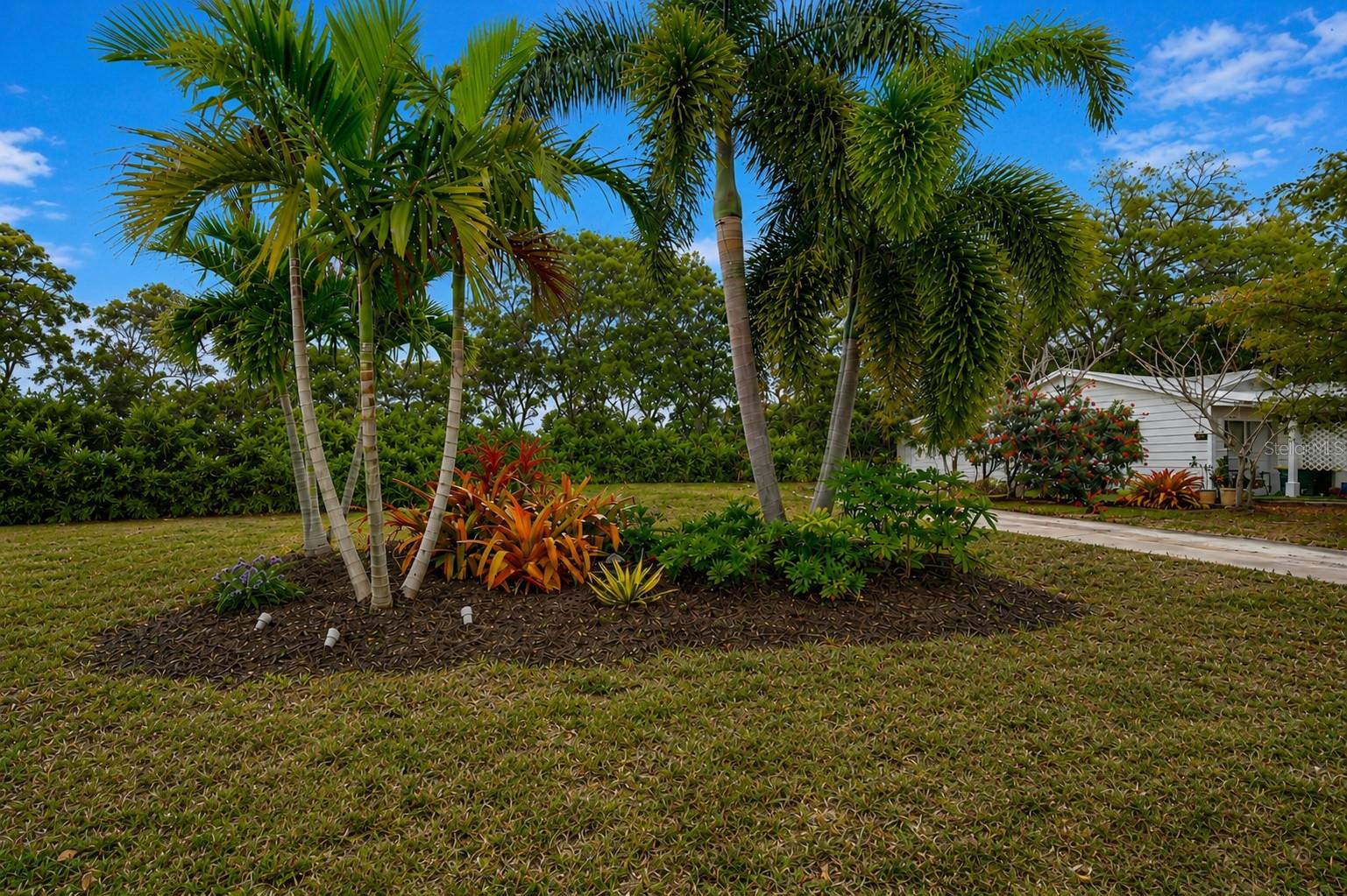 463 Acacia Dr Property Photo 4
