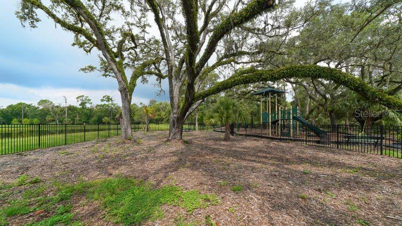 2108 Midnight Pearl Dr Property Photo 58