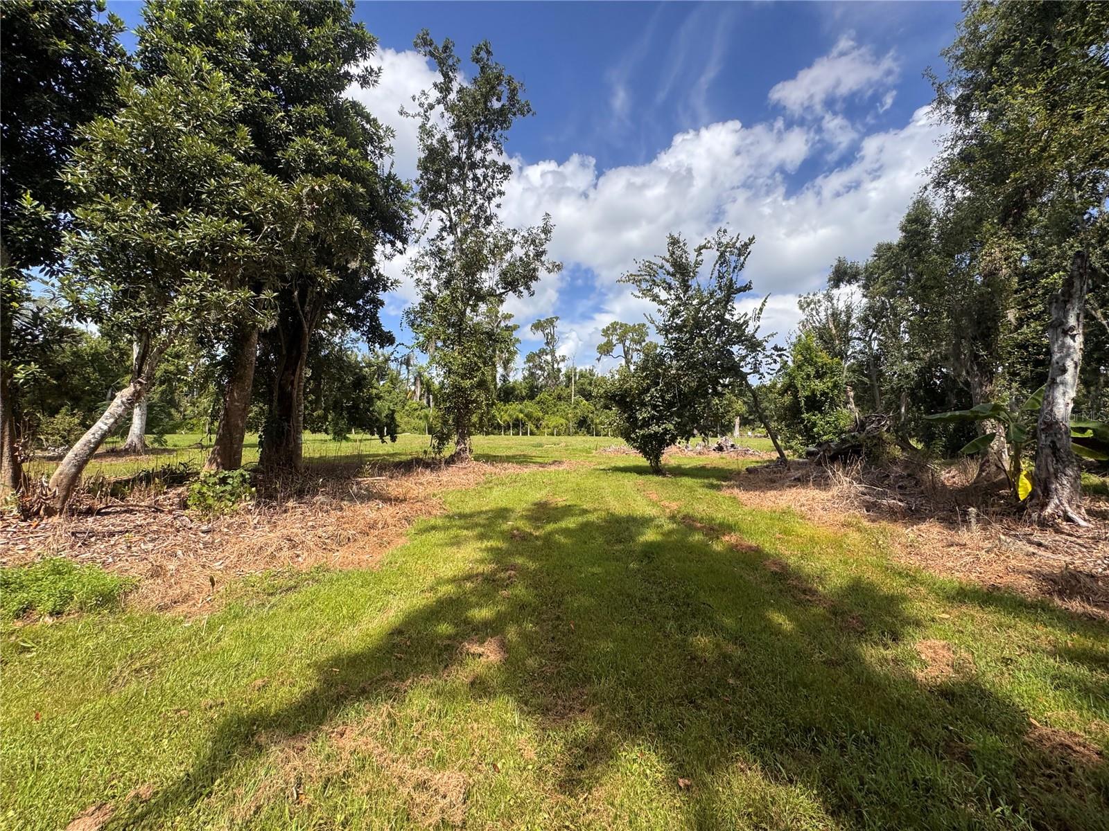 12275 County Road 675 Property Photo 14
