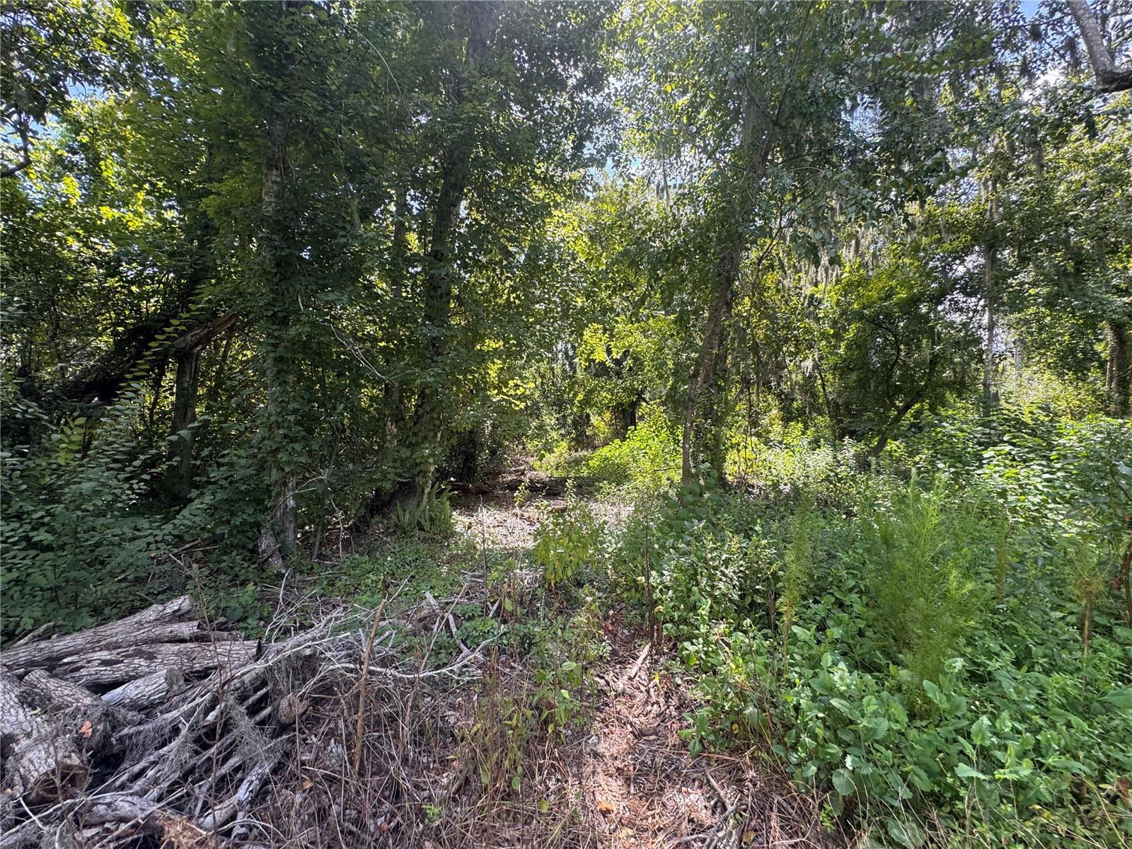 12275 County Road 675 Property Photo 15