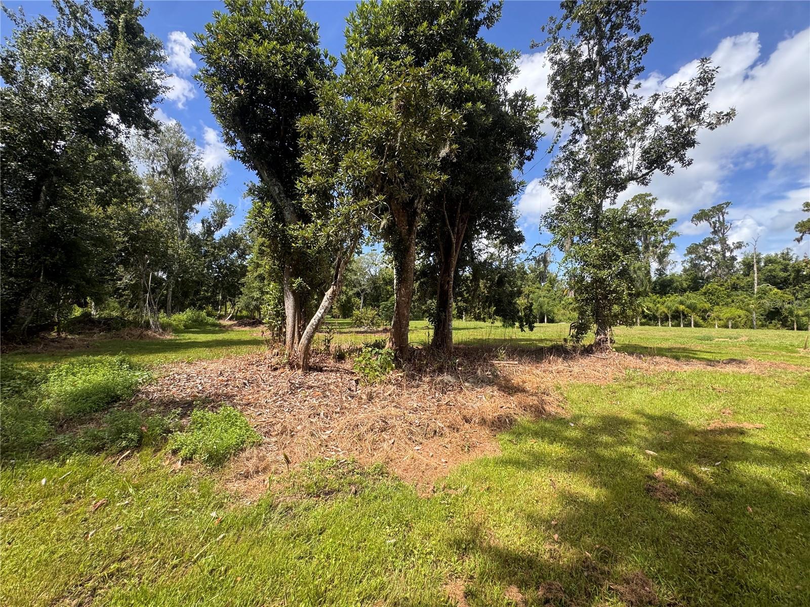 12275 County Road 675 Property Photo 16