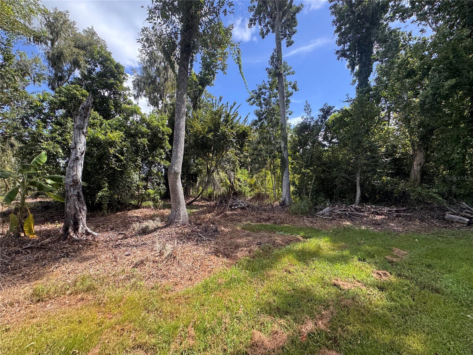 12275 County Road 675 Property Photo 19