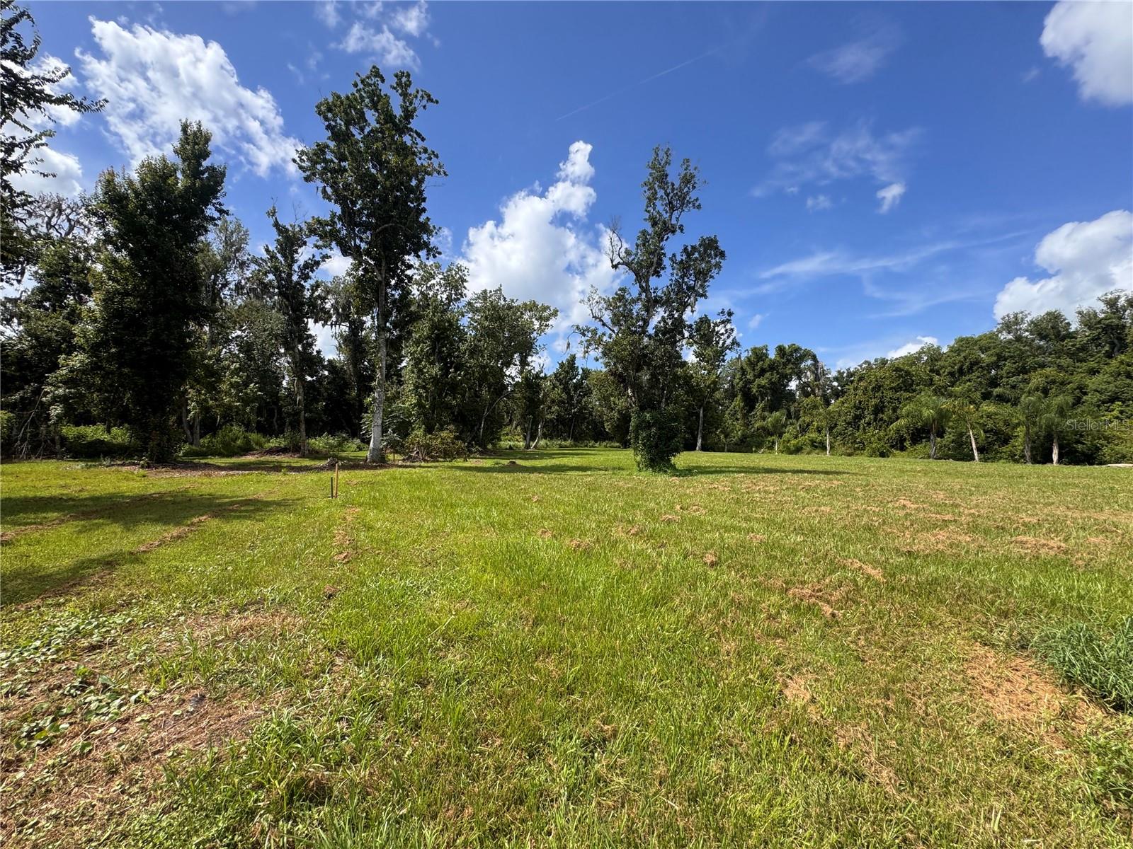12275 County Road 675 Property Photo 23
