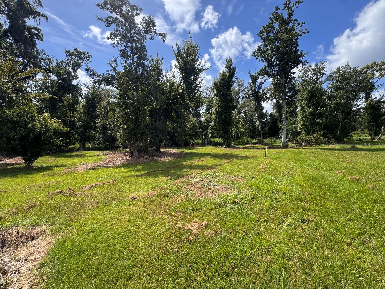 12275 County Road 675 Property Photo 24