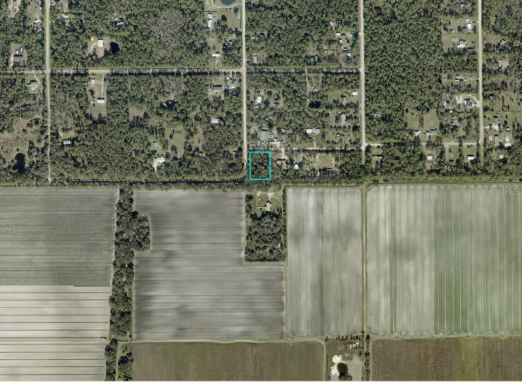 5131 Pecan Ave Property Photo 4