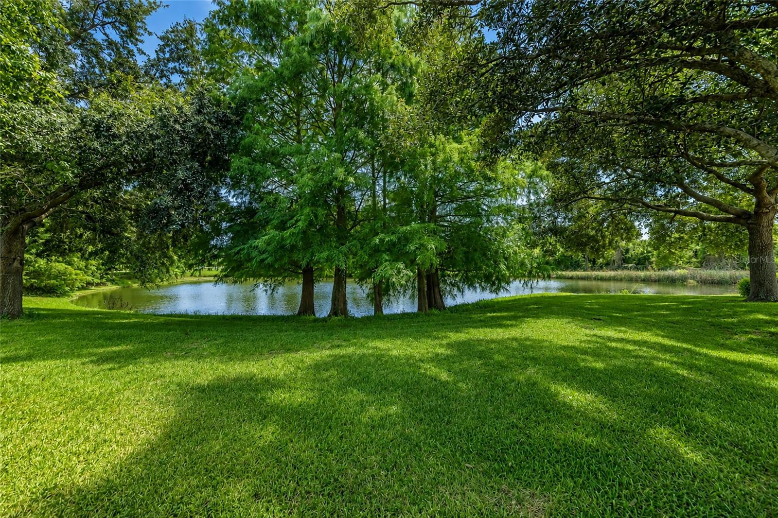 6816 46th Ter E Property Photo 37