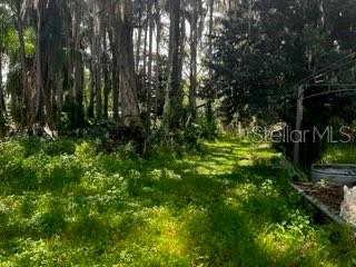 12919 Broleman Rd Property Photo 13