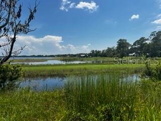 12919 Broleman Rd Property Photo 14