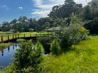 12919 Broleman Rd Property Photo 15