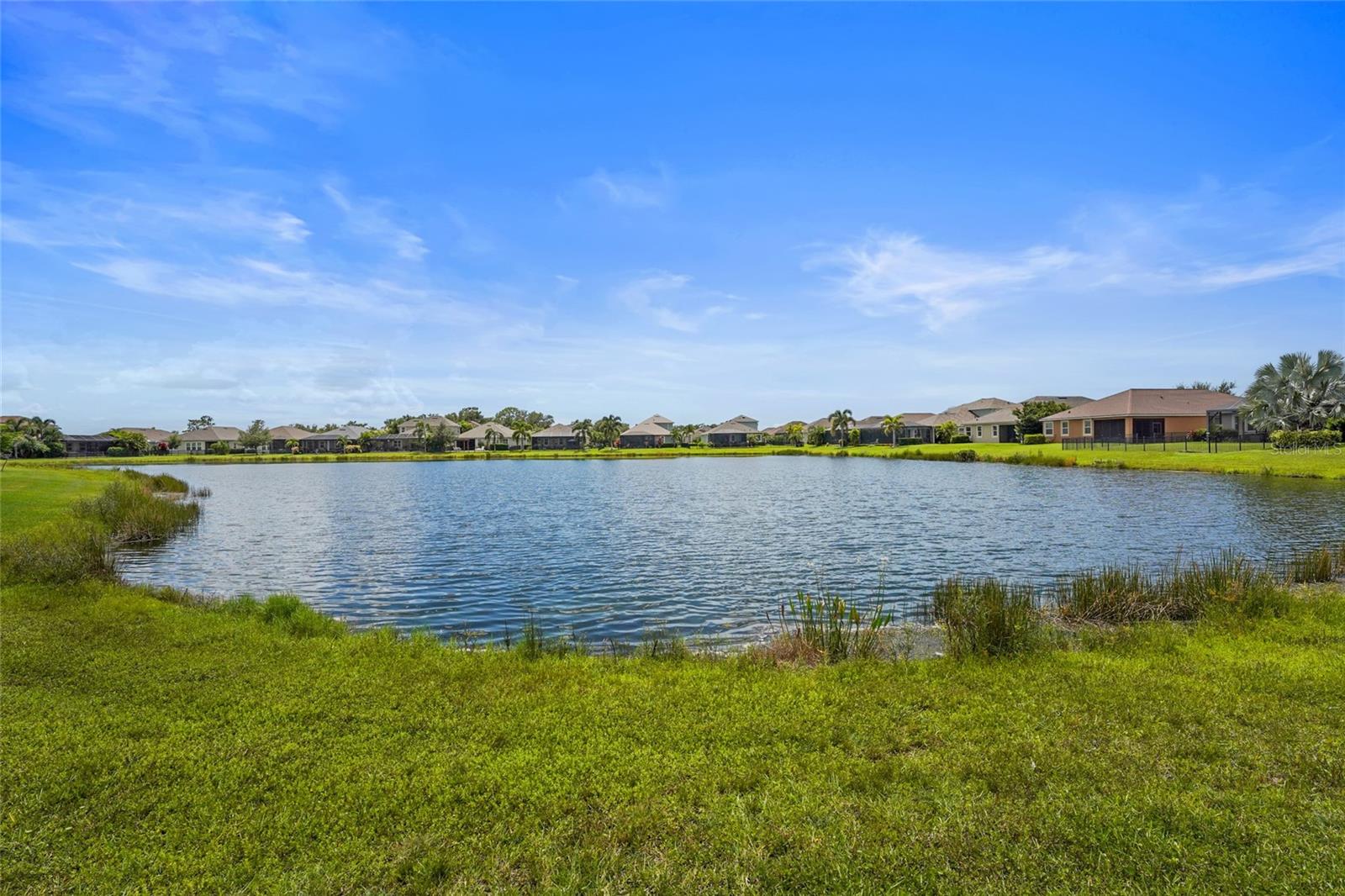 5353 Bentgrass Way Property Photo 49