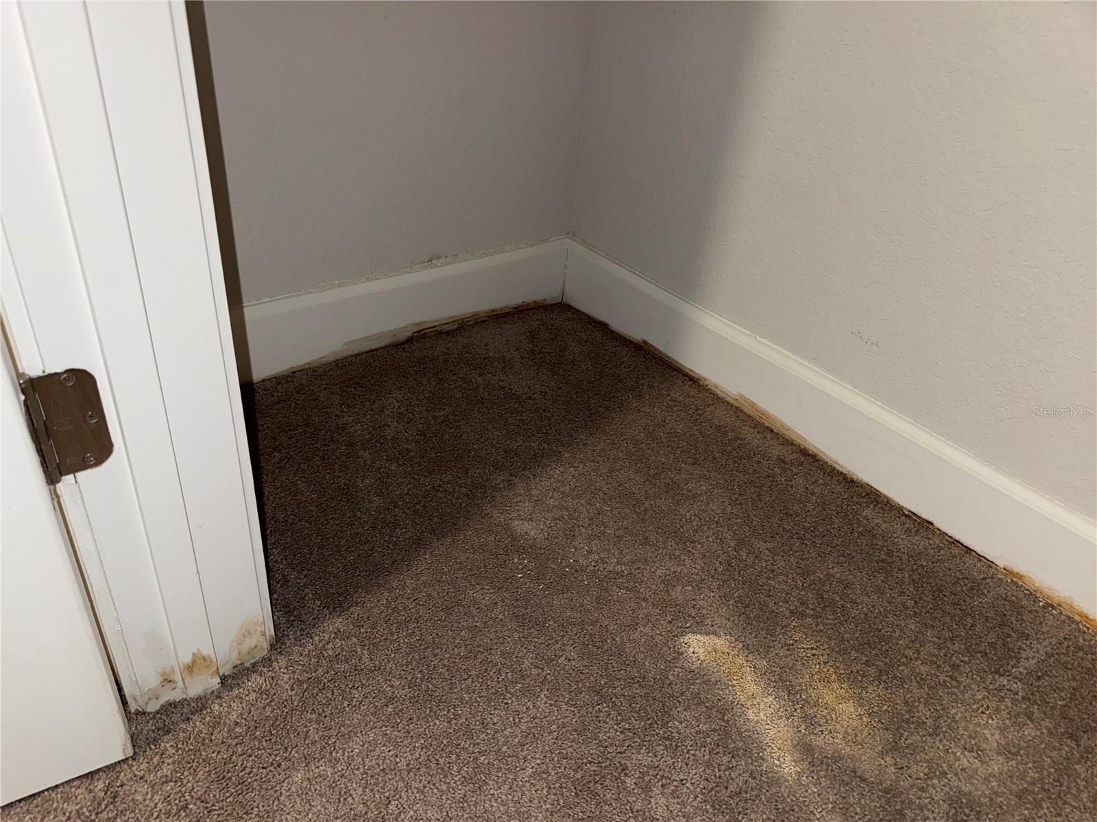 14921 Tropical Violet Way Property Photo 13