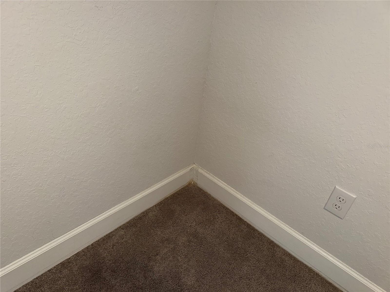 14921 Tropical Violet Way Property Photo 14