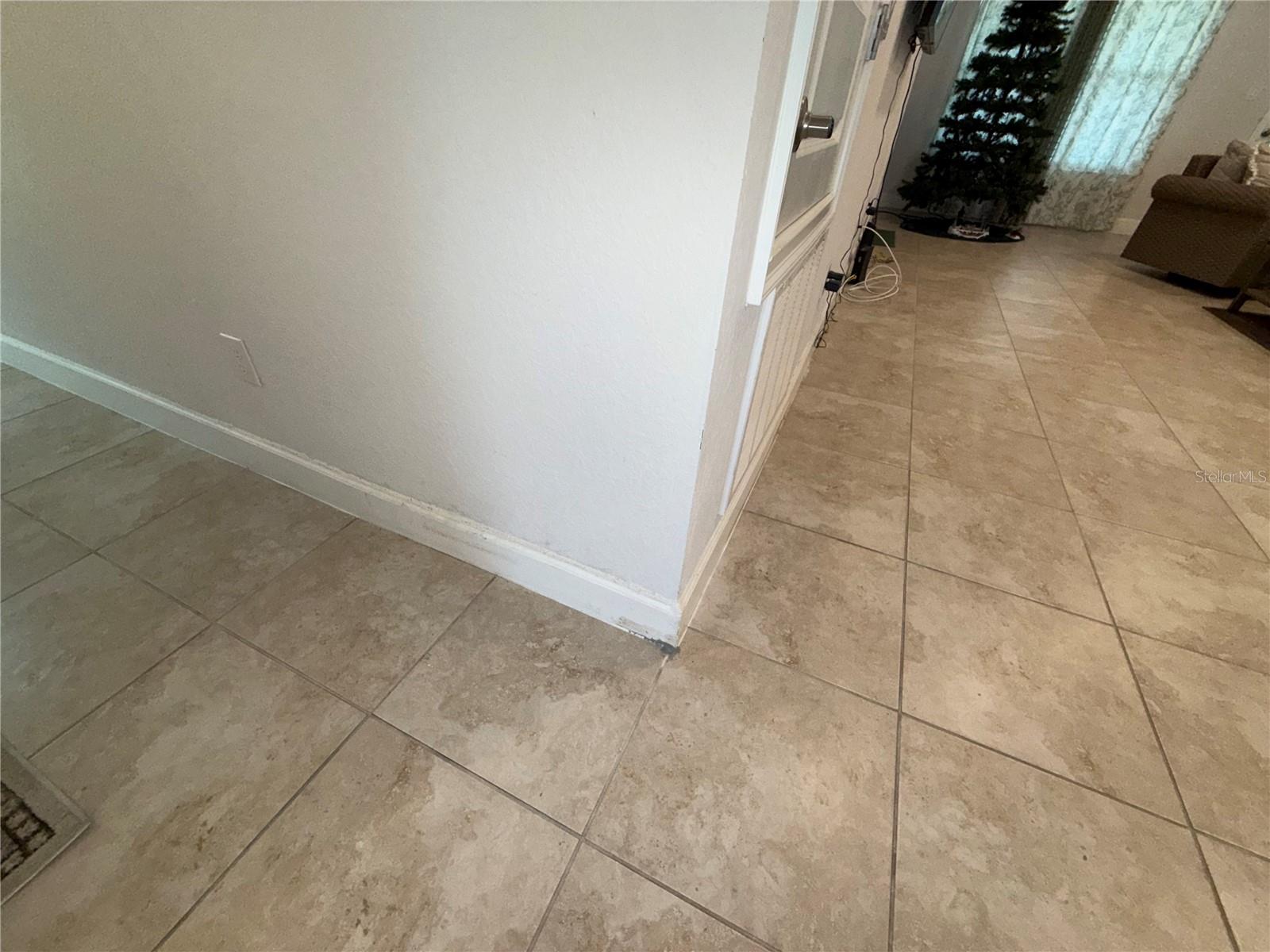 14921 Tropical Violet Way Property Photo 21