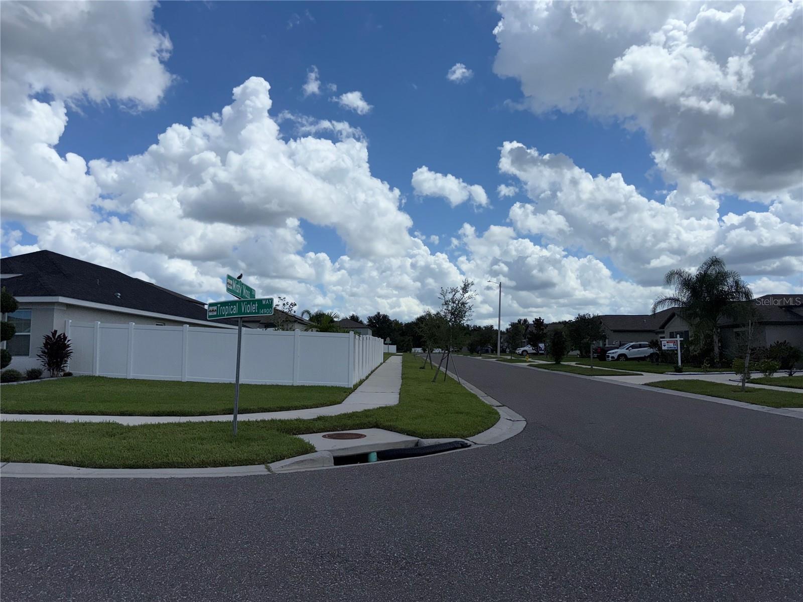 14921 Tropical Violet Way Property Photo 28