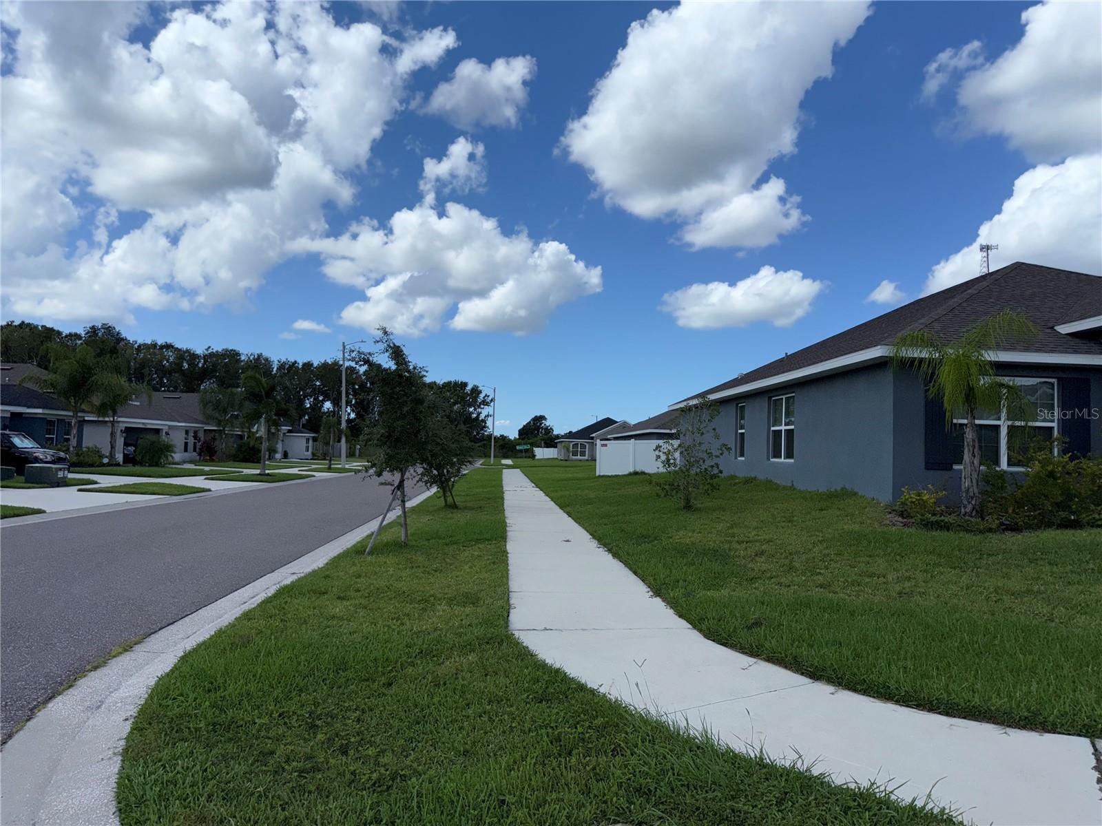 14921 Tropical Violet Way Property Photo 29