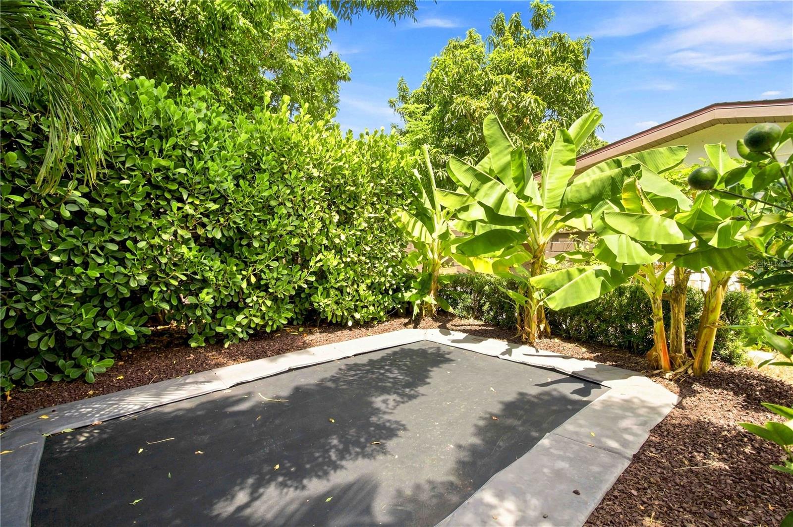 2410 Siesta Dr Property Photo 39
