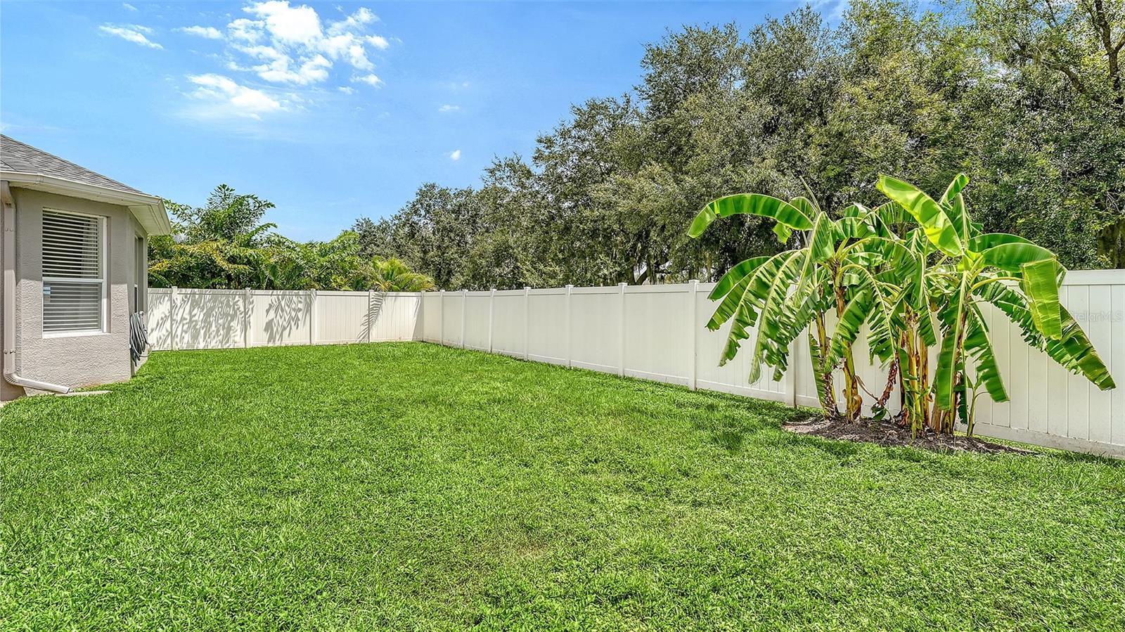 11481 Summit Rock Ct Property Photo 46