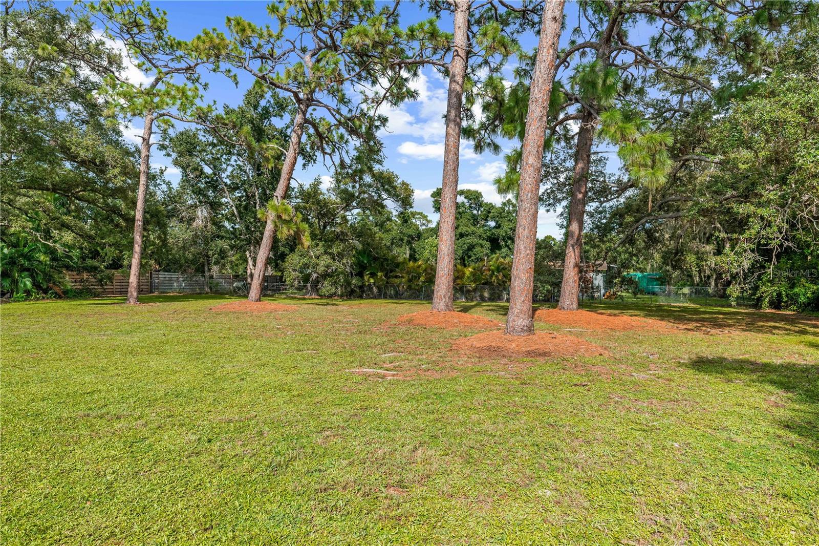 3733 Malec Cir Property Photo 45
