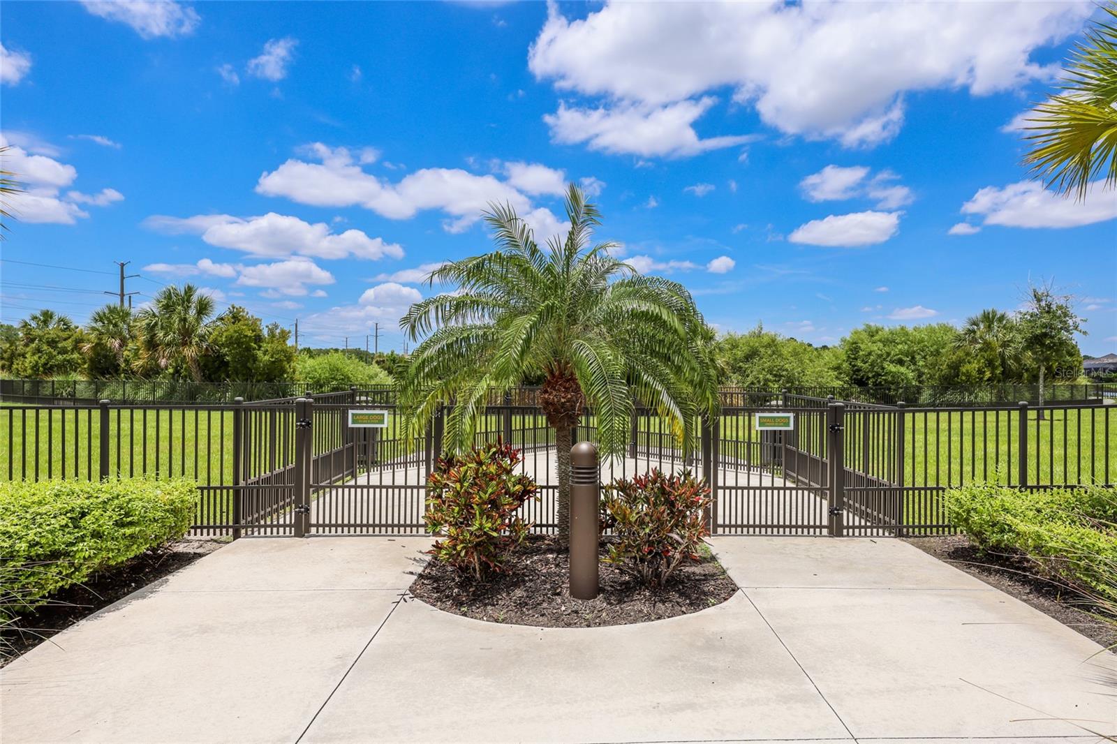 8011 Anthirium Loop Property Photo 43