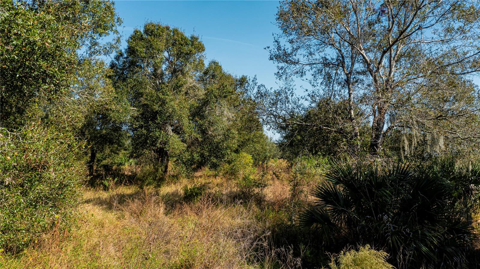 Sw Co Rd 760a Property Photo 16