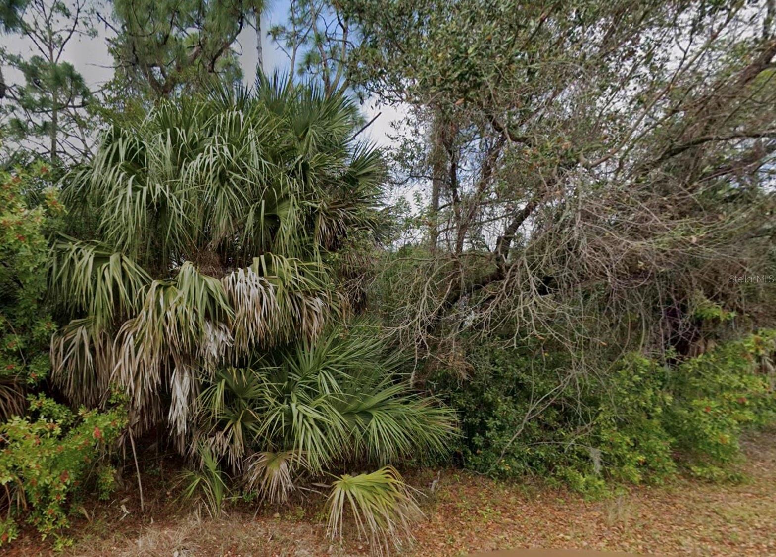 2071 Lucky St Property Photo 3