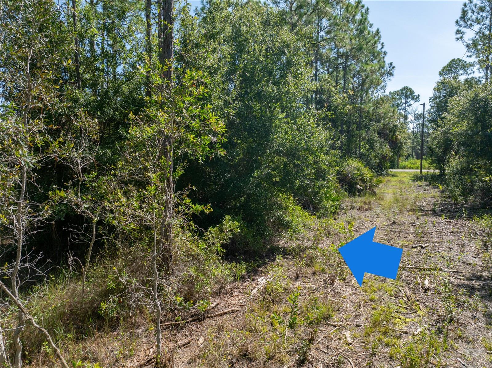 28093 Argyle Dr Property Photo 3