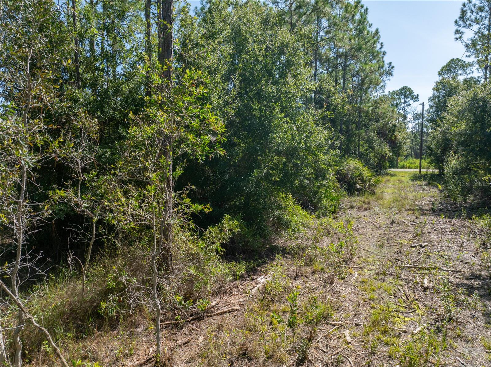 28093 Argyle Dr Property Photo 9