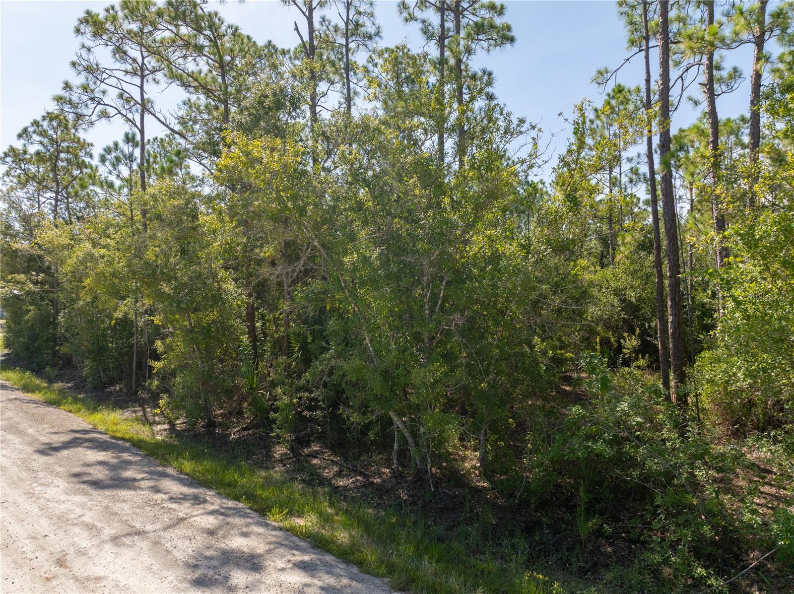 28093 Argyle Dr Property Photo 18