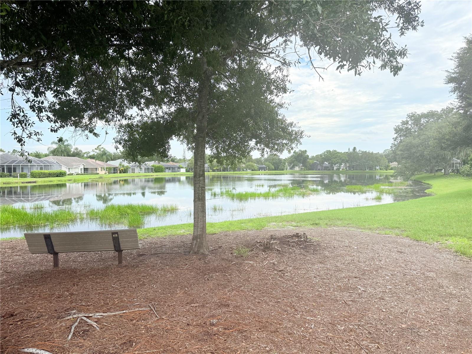 6607 Meandering Way Property Photo 23