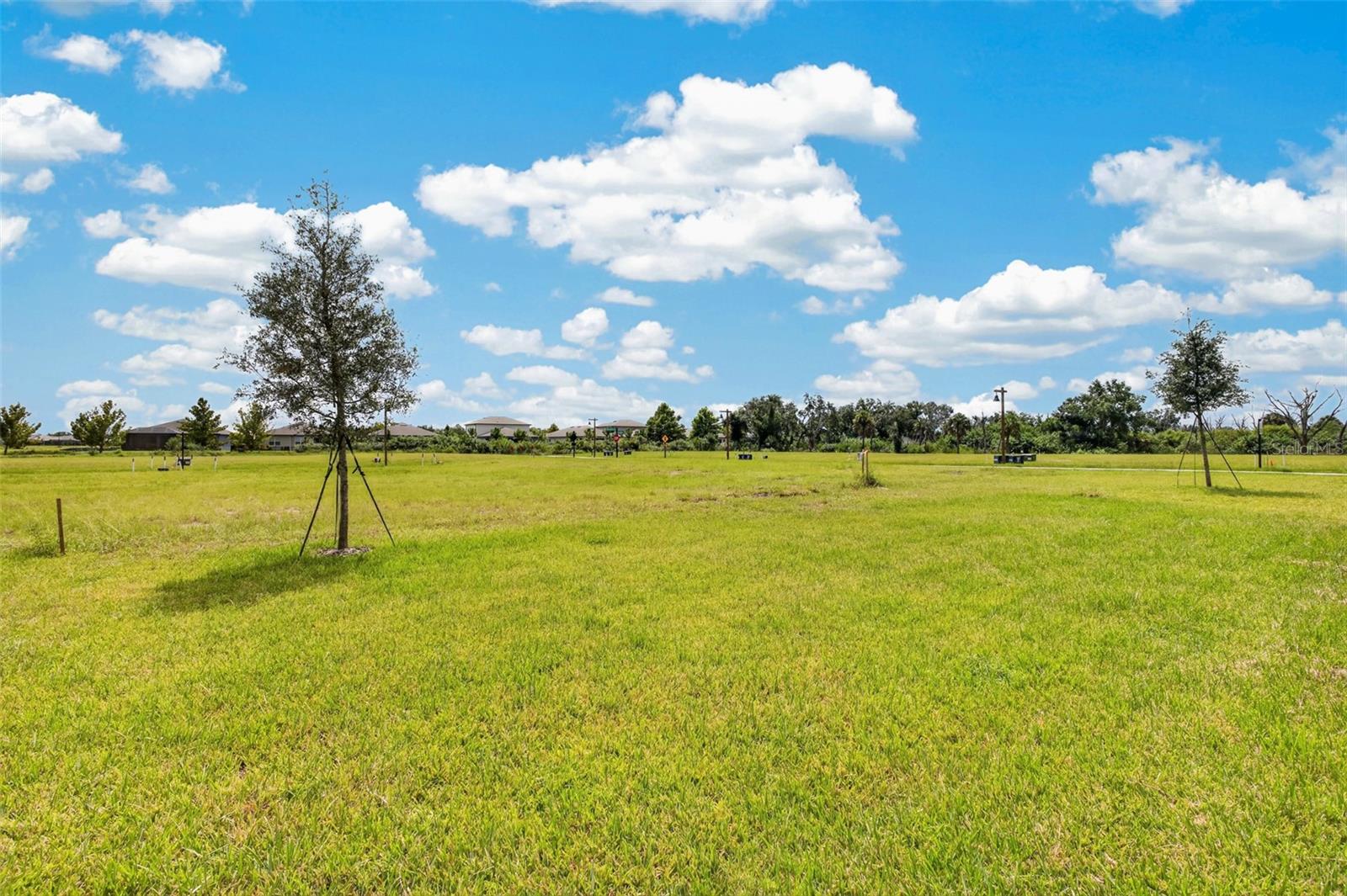 10924 Rabbit Grove Trl Property Photo 22
