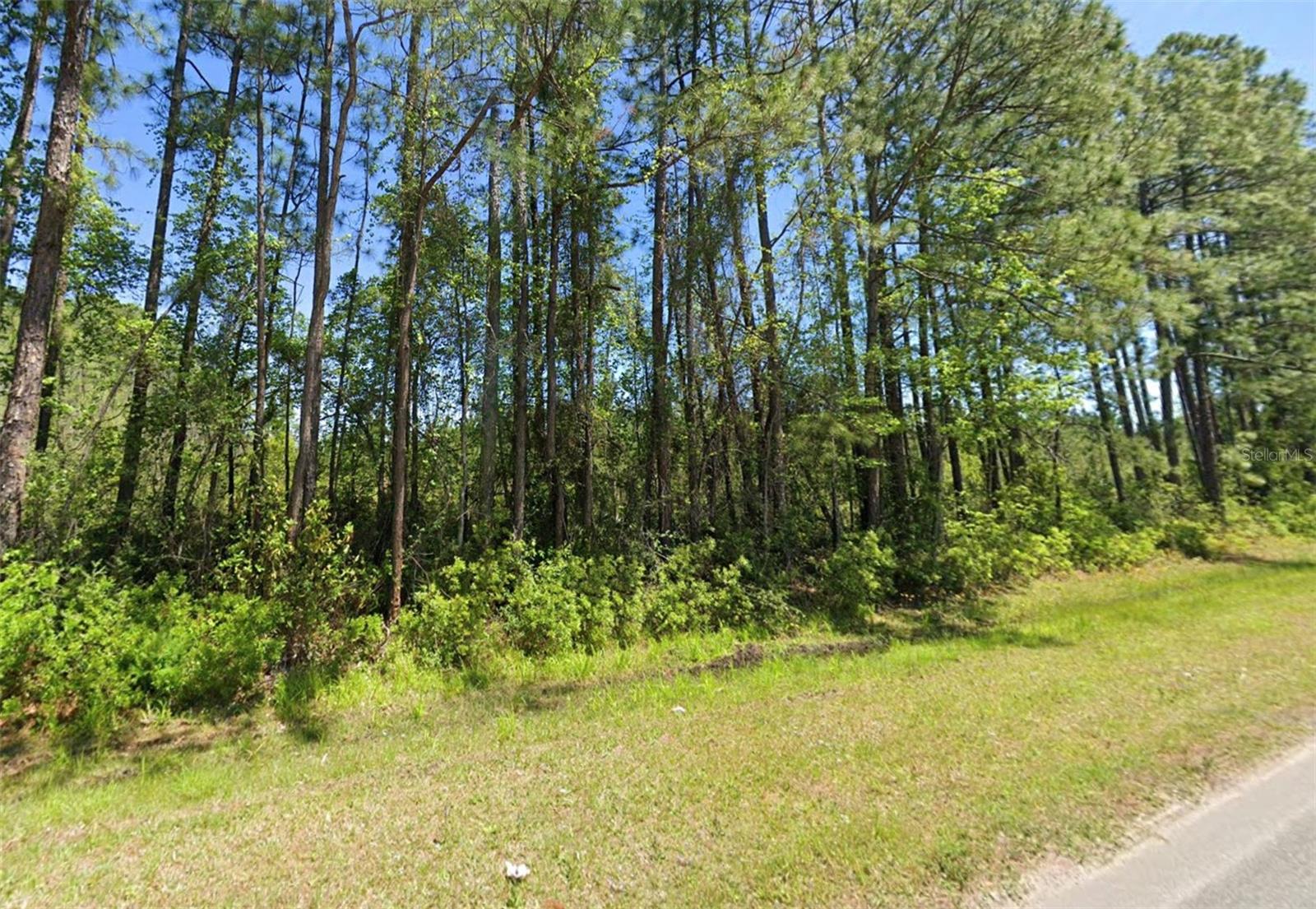 4739 County Road 218 Rd Property Photo 2