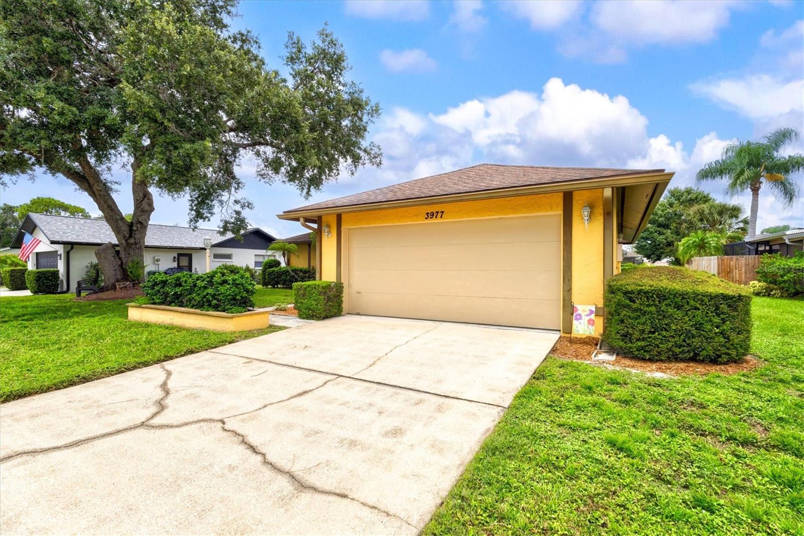3977 Lemonwood Dr Property Photo 4