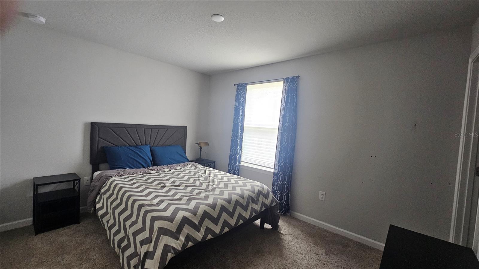 11840 Sky Acres Ter Property Photo 16