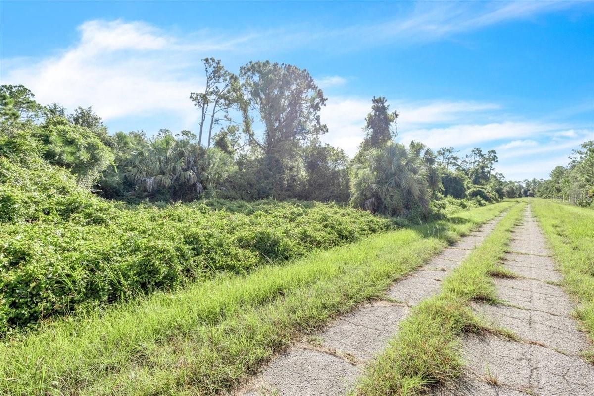 Lot 5 Bignay Rd Property Photo 4