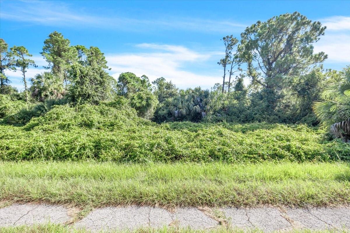 Lot 5 Bignay Rd Property Photo 5