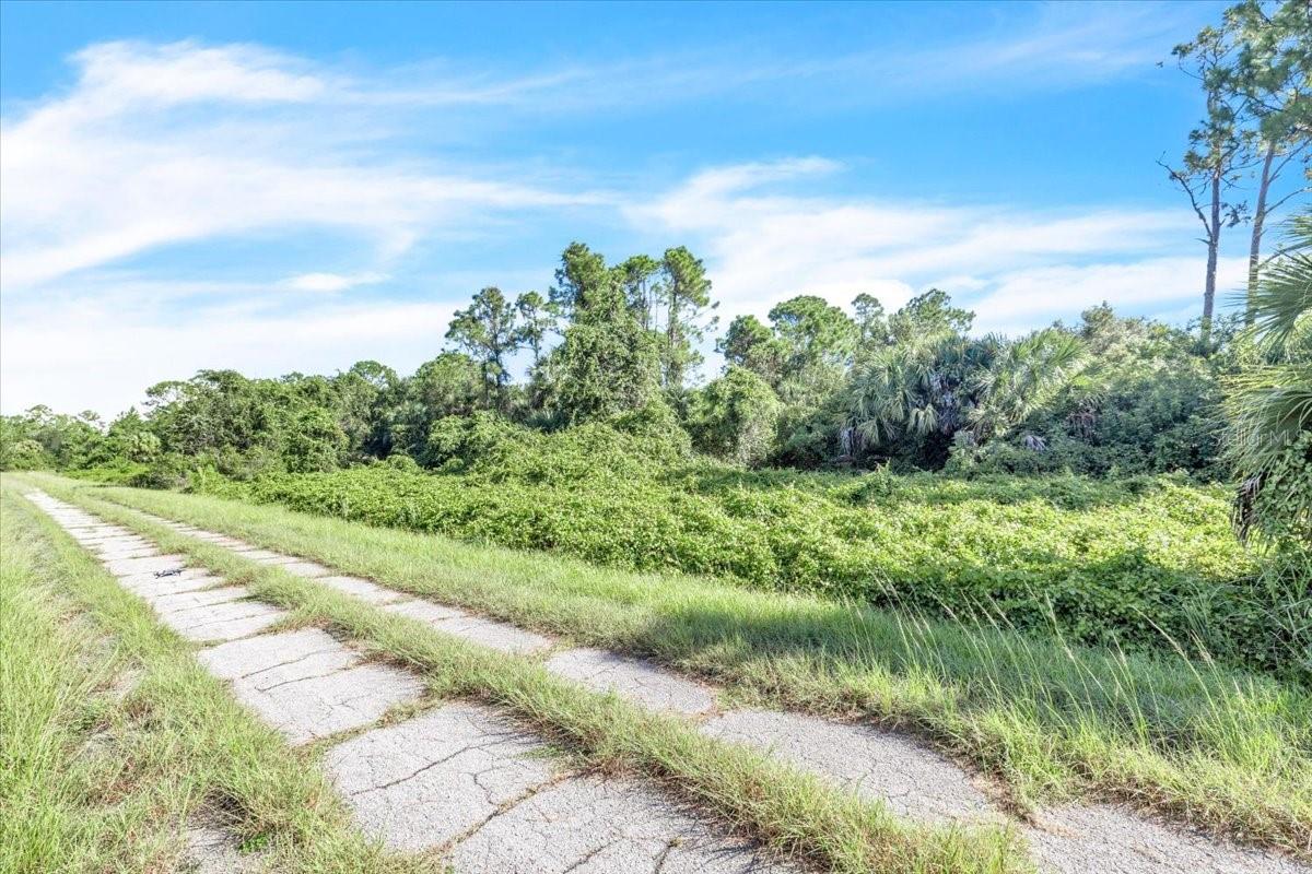 Lot 5 Bignay Rd Property Photo 6